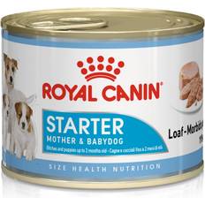 Royal Canin Hundar - Våtfoder Husdjur Royal Canin Starter Mousse 0.2kg