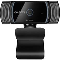 Canyon Live Streaming Web Camera