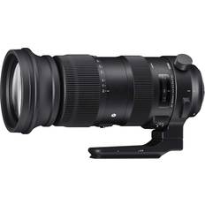 SIGMA Nikon F Kameraobjektiv SIGMA 60-600mm F4.5-6.3 DG OS HSM Sports for Nikon F