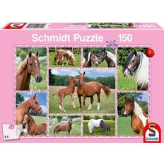 Schmidt Spiele Horse Dreams 150 Bitar