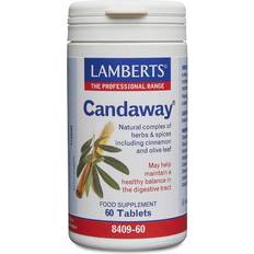 Lamberts Candaway 60 st