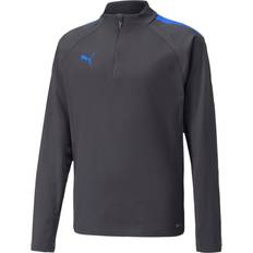 Puma teamLIGA Quarter-Zip Sweatshirt Kids - Grey/Blue
