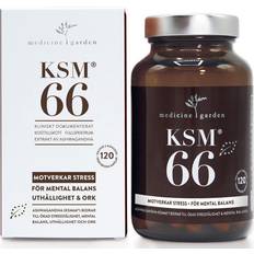 A-vitaminer - Hallon Vitaminer & Kosttillskott Medicine Garden KSM66 120 st