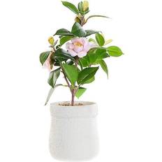 Rosa Konstgjorda växter Dkd Home Decor Dekorativ växt Vit Grön Rosa PVC EVA (23 x 18 x 38 cm) Konstgjord växt
