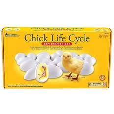 Learning Resources Tygleksaker Experimentlådor Learning Resources Chick Life Cycle Exploration Set