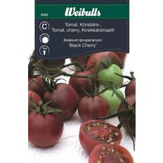 Februari Grönsaksfröer Weibulls Tomat Black Cherry