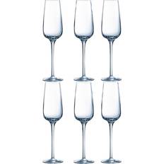 Chef & Sommelier Champagneglas Chef & Sommelier Sublym Champagneglas 21cl 6st