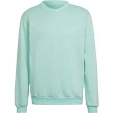 Turkosa Sweatshirts Barnkläder adidas Entrada 22 Sweatshirt - Clear Mint (HC5042)
