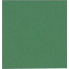 Pappersservett 2-lags 24x24 cm Grön 100 st