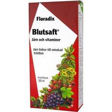 Förbättrar muskelfunktion Vitaminer & Kosttillskott Floradix Salus Blutsaft Large Bottle 500ml
