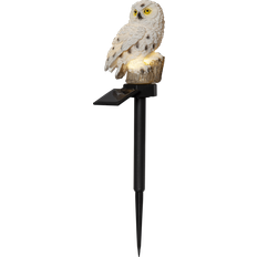 Beige - LED-belysning Golvlampor & Markbelysning Star Trading Owl Markbelysning 33cm