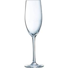 ARC Champagneglas ARC - Champagne Glass 24cl