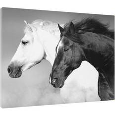 Estancia Tavlor Estancia Canvastavla Horse Black & White75x100cm Tavla