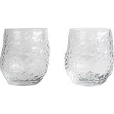 Byon Glas Byon Swan Drinking Glass 42cl 2pcs