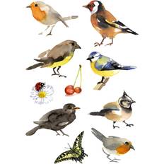 Klistermärken Herma stickers Decor fåglar (3)