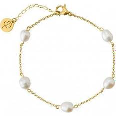 Edblad Dam - Guld Armband Edblad Perla Bracelet Multi - Gold/Pearls