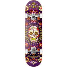 Hydroponic Mexican Complete Skateboard Purple Skull 8.125"