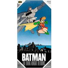 DC Comics Batman and Robin glass poster