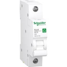 Schneider Electric Normkomponenter Schneider Electric Dvärgbrytare RESI9 1P C25A