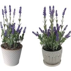 Dkd Home Decor Lavendel Keramik PE Konstgjord växt