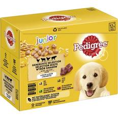 Pedigree Hundfoder Husdjur Pedigree Junior Pouch Multipack gelé 96
