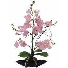 Europalms Orchid arrangement EVA Konstgjord växt