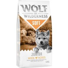 Wolf of Wilderness Junior Wide Acres Chicken