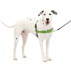 PetSafe Easy Walk Dog Harness, No Pull Dog Harness, Apple Green/Gray, Medium/Large