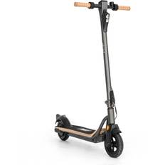 250 W Elscooters X-Pro eRide1 v.2