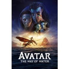 4K Blu-ray på rea Avatar: The Way of Water (Blu-Ray)