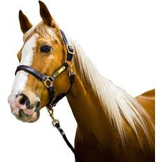 Läder Grimmor & Grimskaft Amigo Padded Headcollar Horse Brown