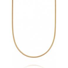 Daisy Round Snake Chain 18ct Gold Plated Necklace RN06_GP