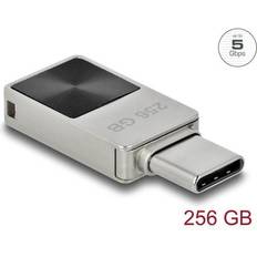 Class 10 USB-minnen DeLock 54009 USB Stick, 256GB, silber/ vernickelt