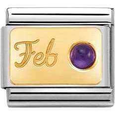 Nomination Composable Classic February Link Charm - Silver/Gold/Amethyst