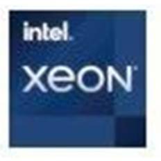 Intel Socket 1200 - Xeon Processorer Intel Xeon E-2374G 3.7 GHz processor Box CPU 4 kärnor 3.7 GHz LGA1200 Boxed med kylare