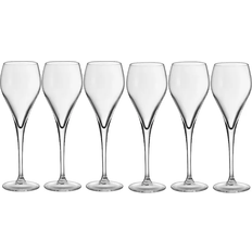 Champagneglas Table Top Stories Bubbles Proseccoglas Champagneglas 16cl 6st
