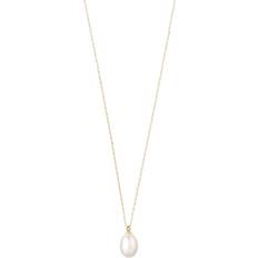 Pilgrim Eila Necklace - Gold/Pearl