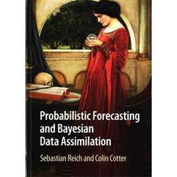 Probabilistic Forecasting and Bayesian Data Assimilation (Häftad, 2015)