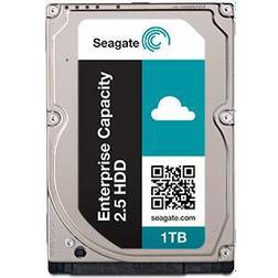 Seagate Enterprise Capacity ST1000NX0323 1TB
