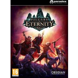 Pillars of Eternity: Hero Edition (PC)