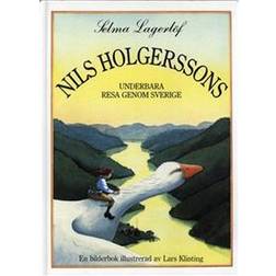 Nils Holgerssons underbara resa genom Sverige (E-bok)