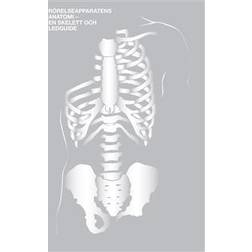 Rörelseapparatens Anatomi - En skelett- och ledguide (E-bok)