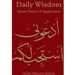 Daily Wisdom (Inbunden, 2013)