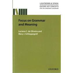 Focus on Grammar and Meaning (Häftad, 2015)