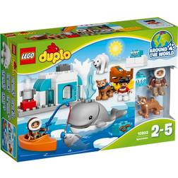 Lego Duplo Wildlife Arctic 10803