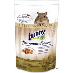 Bunny Springmus - Dröm BASIC