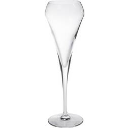 Exxent Open Up Champagneglas 20cl