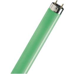 Philips TL-D Colored Fluorescent Lamp 18W G13 170