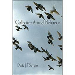 Collective Animal Behavior (Häftad, 2010)