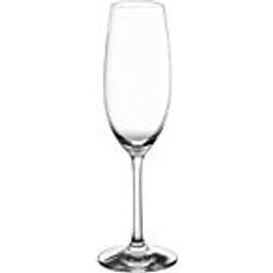 Schott Zwiesel Ivento Champagneglas 22.8cl 6st